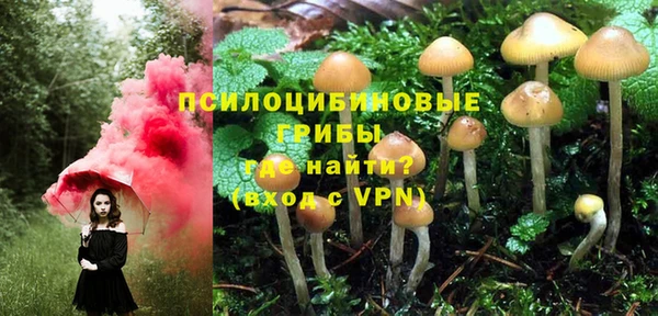 мдпв Медвежьегорск