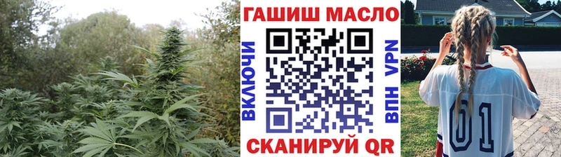 купить наркоту  Железногорск-Илимский  ТГК концентрат 
