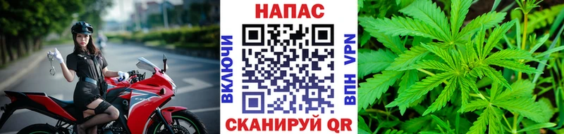 Бошки Шишки индика закладки Железногорск-Илимский